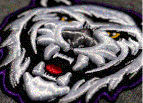 3D Embroidered Patches