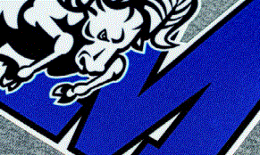 Perma Twill Cad-Printz Patches