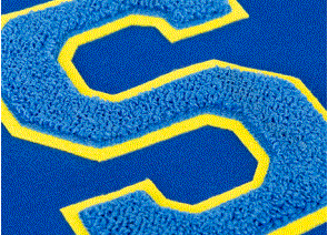 Chenille Patches